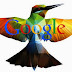 Thuật toán "chim ruồi" của google và những vấn đề liên quan.