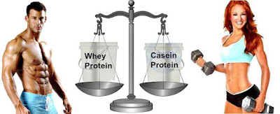 Drink your protein shake before bed to gain muscle Drink your protein shake before bed to gain muscle