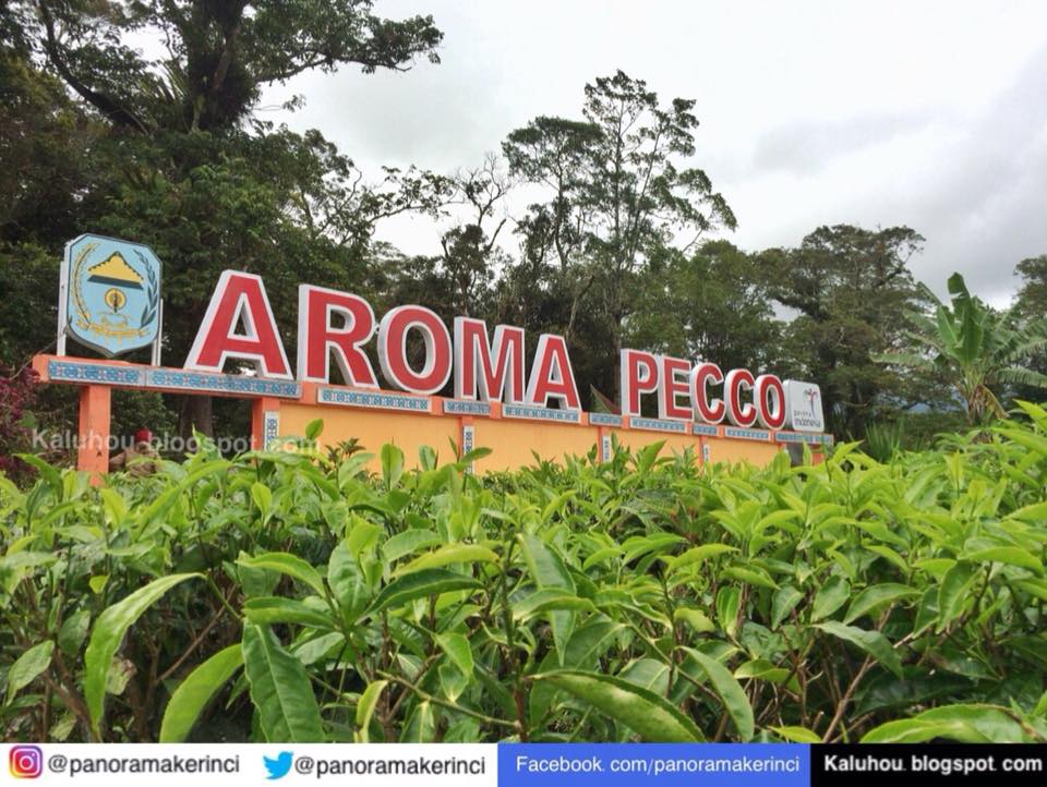AROMA PECCO, salah satu Objek Wisata Terpopuler di Kerinci