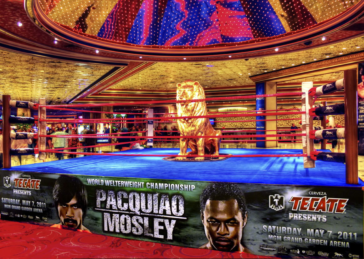 Our Digital Mind: Fight Night In Vegas