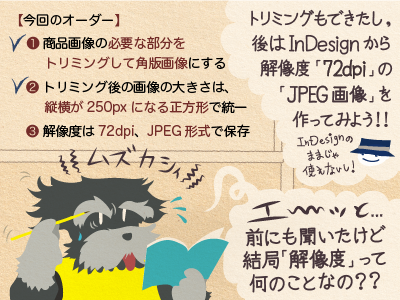 1コマ目 チップくん「トリミングもできたし、後はInDesignから解像度「72dpi」の「JPEG画像」を作ってみよう!」ジミー「エ〜ッと…前にも聞いたけど結局「解像度」って何のことなの??」