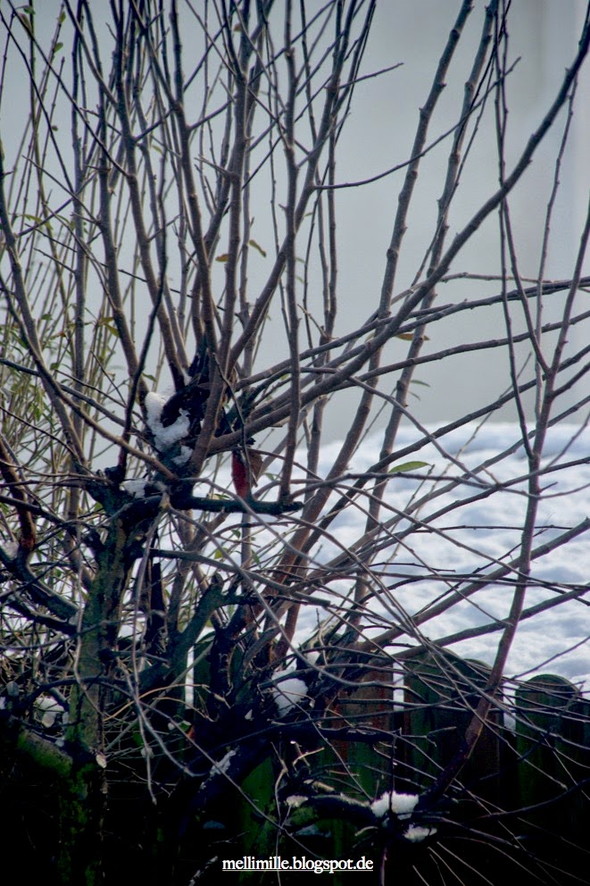 mellimille: Hüttengaudi, die Zweite: Krautkrapfen mellimille: Hüttengaudi, die Zweite: Krautkrapfen