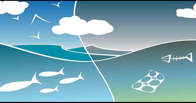 Macam Macam Indikator Pencemaran Lingkungan Ato Basahona Share