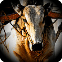 Hewan Ternak Sapi Balap 3D APK v1.2 Mod Unlimited Money Terbaru Hewan Ternak Sapi Balap 3D APK v1.2 Mod Unlimited Money Terbaru