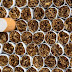 Έρχεται η μεγαλύτερη αύξηση στα τσιγάρα. Στα 8 ευρώ το στριφτό!