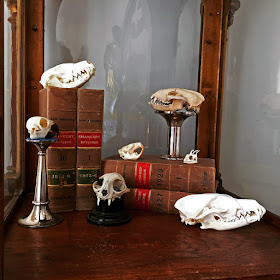 Grays Blog January 2017