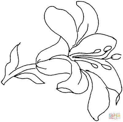 Lilies Coloring 2