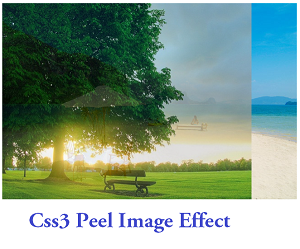 Css3+Peel+Image+Effect
