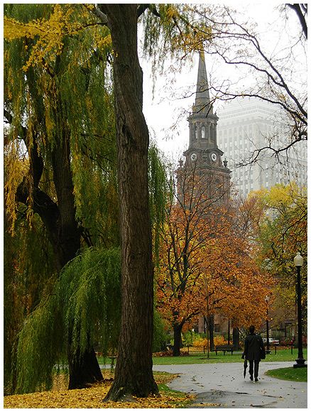 Boston Public Garden - Boston, Massachusetts, USA