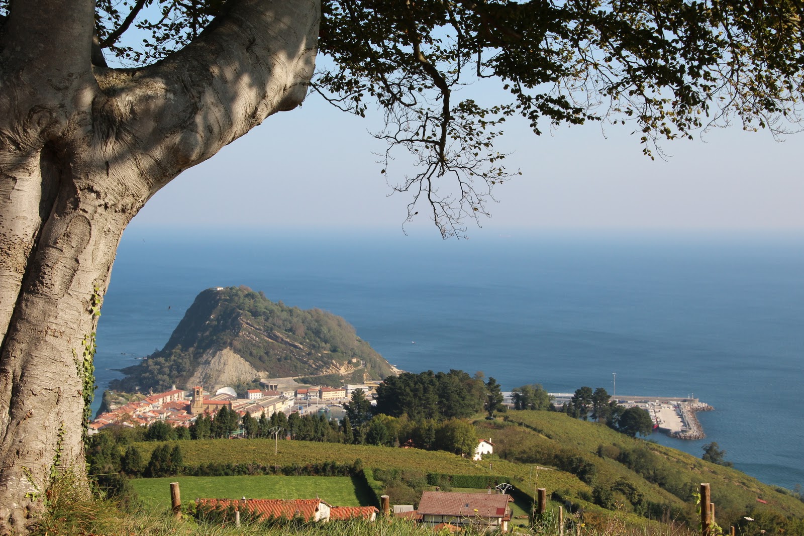 Rumbo a Gran Sol Guetaria tierra del Txakoli.