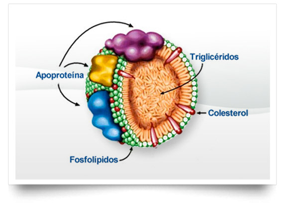 Colesterol de lipoproteinas de baja densidad