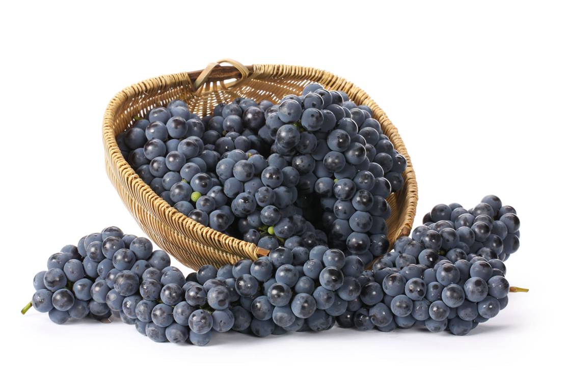 Cadenas agroalimentarias La uva isabella en salsa bbq