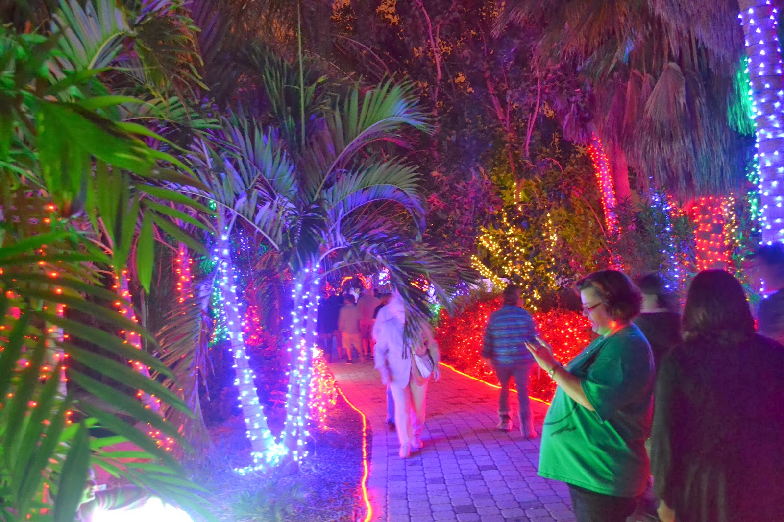 Largo Lights Part 2