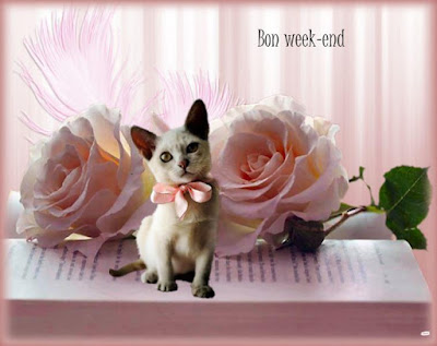 Résultat de recherche d'images pour "bon week end"