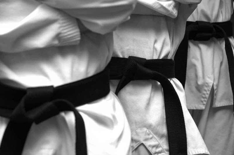 Let's get this started Black Belts are Simply White Belts Who Didn’t Quit