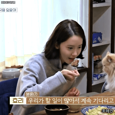 효리네민박 시즌2 1화 새직원 임윤아.gif | 인스티즈