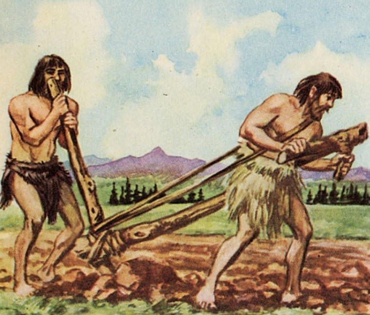 Celibamy agricultor