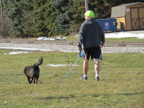 man walking dog