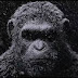 Cinema | Planeta dos Macacos: A Guerra ganhou um novo teaser que prepara o público para o lançamento de um trailer completo amanhã