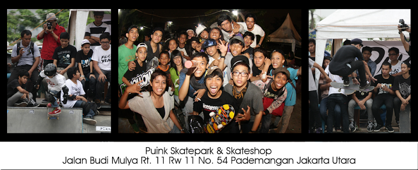 Puink Skatepark