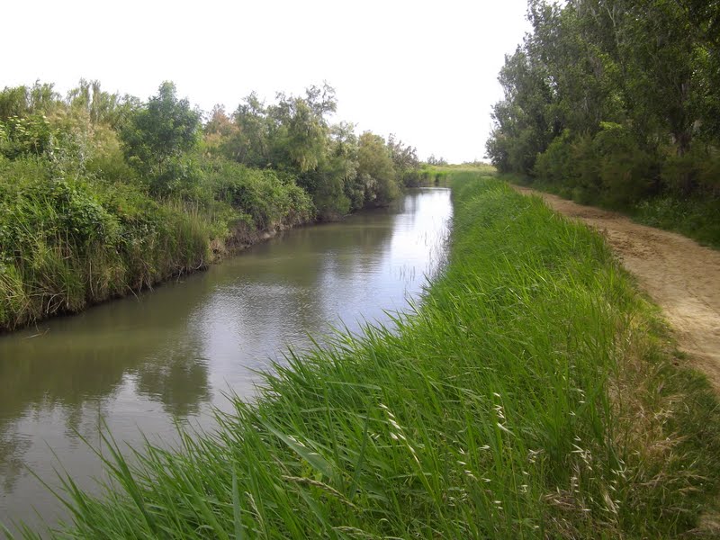 Résultat de recherche d'images pour "bord de ruisseau enherbé"