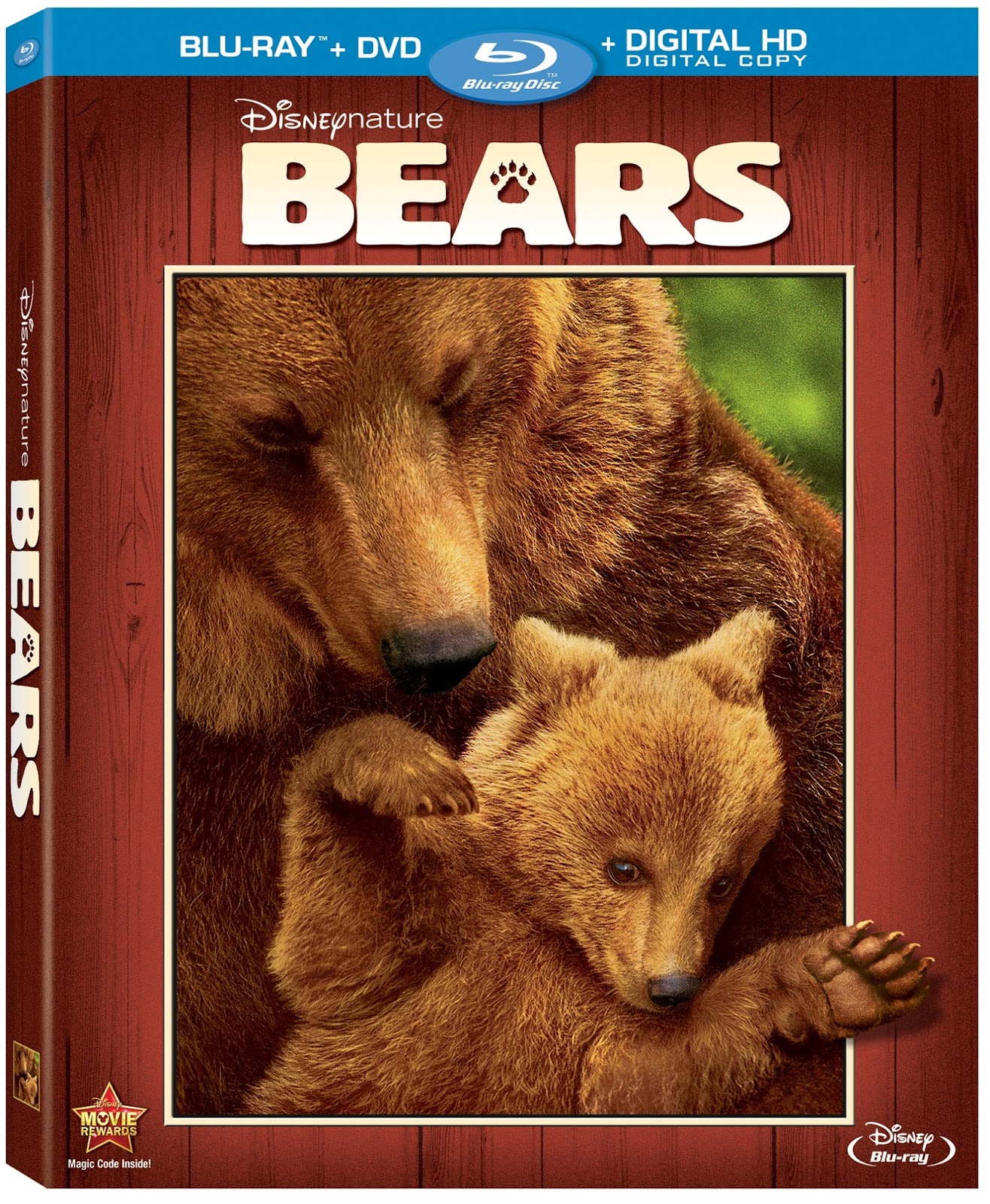  Disneynature Bears Movie 