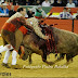 As imagens da corrida na Nazaré