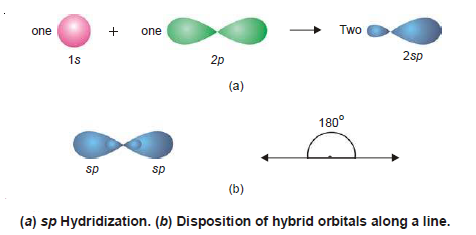 Hybridization: Definition, Types, Rules, Examples