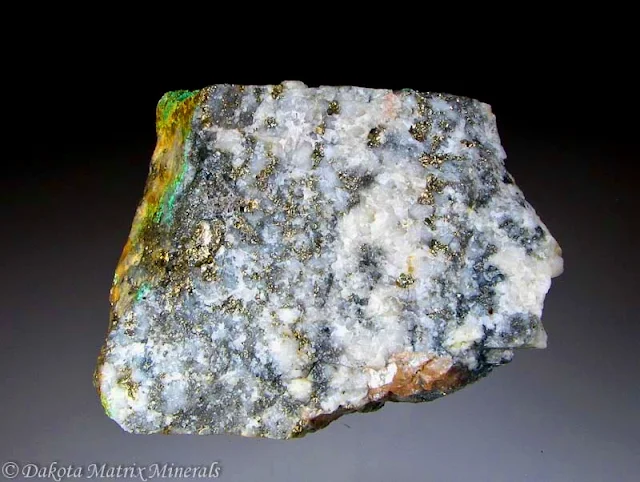 Earth’s Rarest Minerals Could Hint at Life on Other Planets