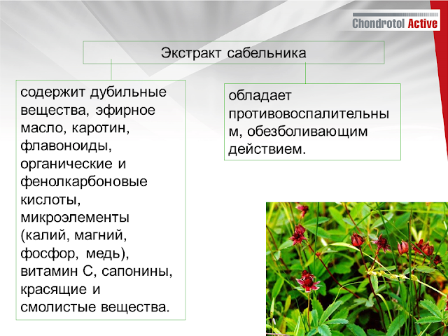 купить артлайф Артлайф Беларусь в Гомеле, Минске, Бресте, Могилеве, Витебске, Гродно