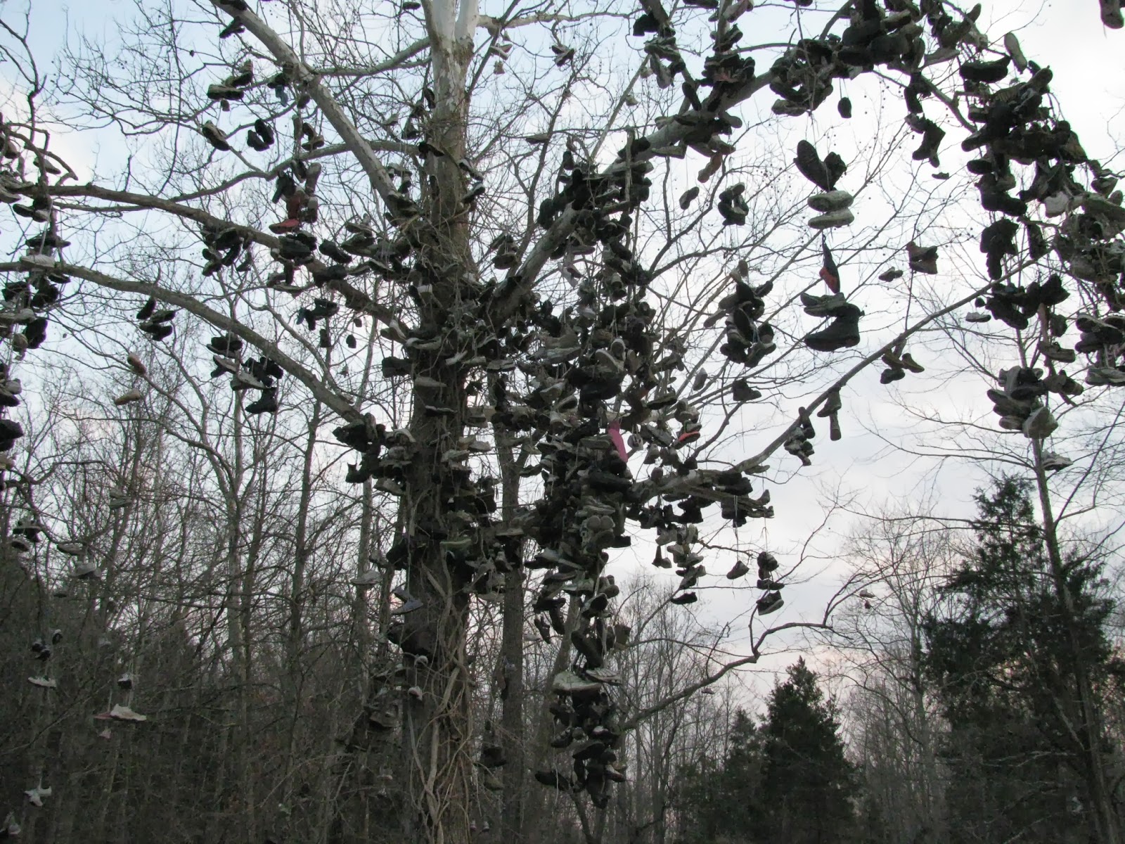 Eerie Indiana The Famous Shoe Tree, Milltown, Indiana