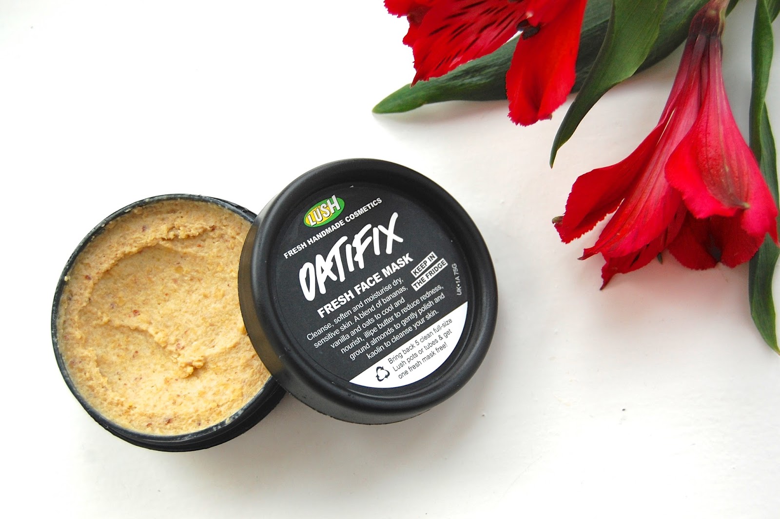 HAUS OF AMY Review Lush Oatifix Fresh Face Mask