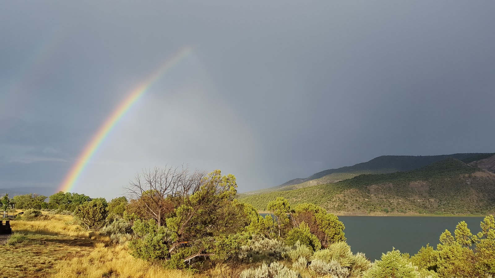 Everyday Is A Weekend Arboles, Creede and Alamosa, Colorado