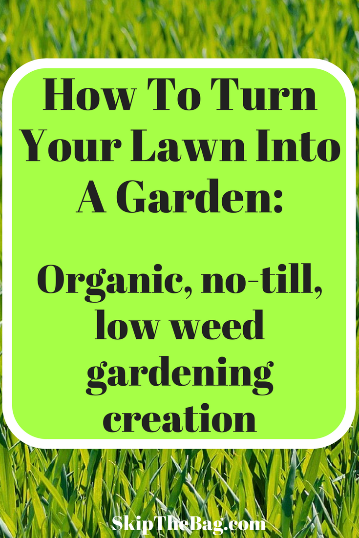 Skip The Bag How To Turn Your Lawn Into A Garden