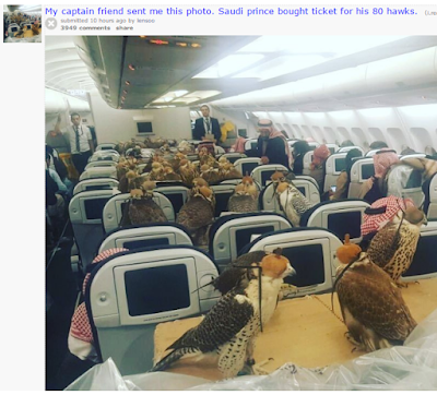 Photos Saudi Prince buys Plane tickets for his 80 Hawks