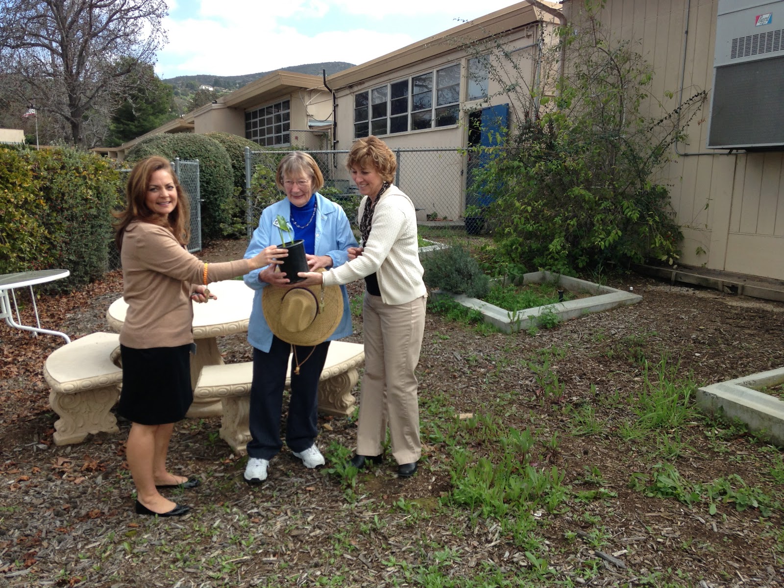 Common Ground Planting Seeds for the Future of Bancroft