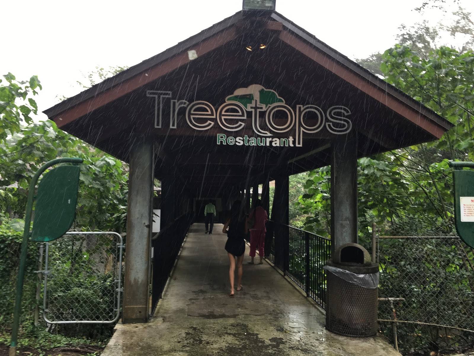 GREAT EATS HAWAII TREETOPS RESTAURANT