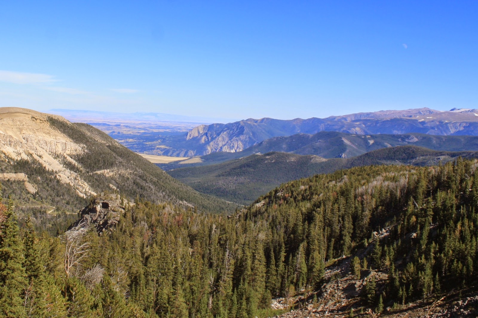 Living and Dyeing Under the Big Sky Picket Pin Summit