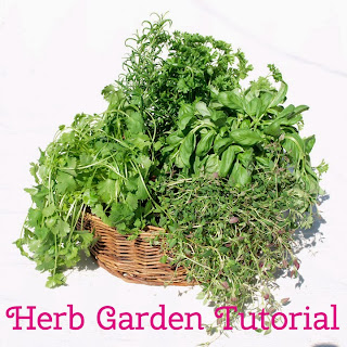 Indoor Herb Garden Tutorial by Sprout's House