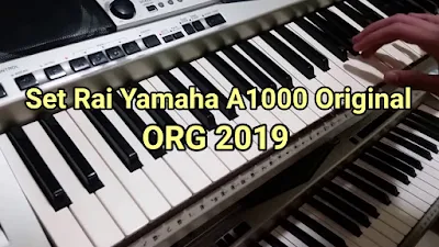 Set rai Yamaha A1000 org2019 by mokadi tgv 102 MB installer gratuit 