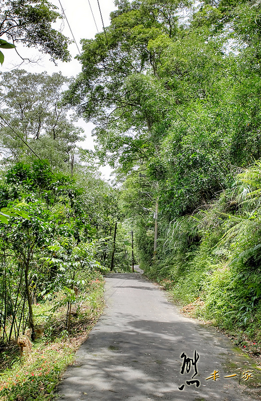 鳥瞰桃園盆地景點|五十份山登山步道