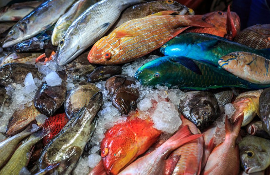 100 Arti Mimpi Melihat Ikan Banyak Besar Menurut Primbon Dan Islam Mimpi Melihat Melahirkan 100 Arti Mimpi Melihat Ikan Banyak Besar Menurut Primbon Dan Islam Mimpi Melihat Melahirkan