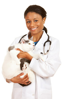 Training cats to use their carrier makes vet visits less stressful Vet visits are less stressful for the cat if they have been trained to go in their carrier and for a short car ride before hand, according to research. Photo shows African-American woman vet holding a cat.