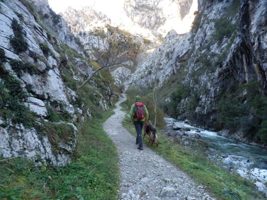 ruta-tresviso-rio-urdon-cantabria-enlacima