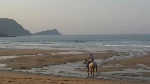 caballo en la playa