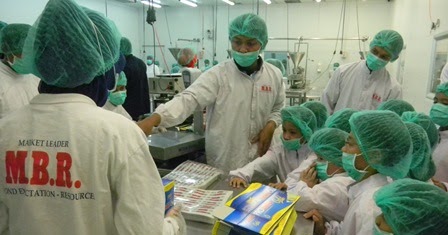 Lowongan Kerja Lowongan Kerja Pt Mulia Boga Raya