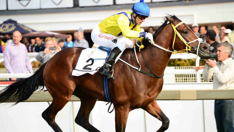 Al Sahem Al Sahem winning the SA Derby at Turffontein