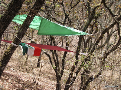 Hamaca de Quercus V3.0 al pie de la Sierra del Ixtle y de la Sierra del Tecuán, en primavera