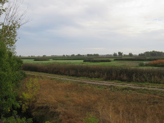 Sacramento National Wildlife Refuge