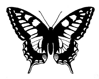 printable butterfly image butterfly illustration download